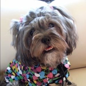 Meet your Posher, Aion